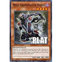 RA04-EN173 Ninja Grandmaster Hanzo Platinum Secret Rare 1st Edition NM