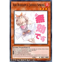 RA05-EN091 Ash Blossom & Joyous Spring Ultra Rare 1st Edition NM