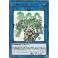 RA05-EN104 Traptrix Sera Ultra Rare 1st Edition NM