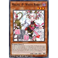 RA05-EN136 Maliss <P> White Rabbit Ultra Rare 1st Edition NM