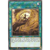 Yugioh RIRA-EN058 Flawless Perfection of the Tenyi Rare 1st Edition NM