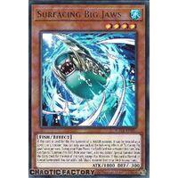 ROTA-EN001 Surfacing Big Jaws Ultra Rare 1st Edition NM