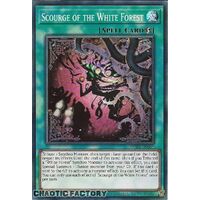 ROTA-EN056 Scourge of the White Forest Super Rare 1st Edition NM
