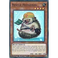 ROTA-EN097 Rescue Hedgehog Super Rare 1st Edition NM