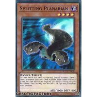 ROTA-EN100 Splitting Planarian Super Rare 1st Edition NM