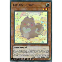 ROTD-EN019 Melffy Puppy Super Rare 1st Edition NM