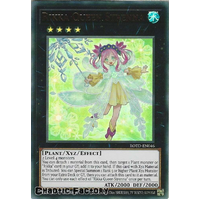 ROTD-EN046 Rikka Queen Strenna Ultra Rare 1st Edition NM