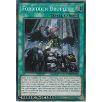 ROTD-EN065 Forbidden Droplet Secret Rare 1st Edition NM