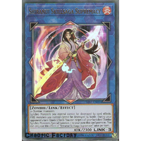 Yuigoh SAST-EN054 Shiranui Skillsaga Supremacy Ultra Rare 1st Edition NM