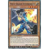 SDAZ-EN012 White Dragon Wyverburster Common 1st Edition NM