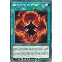 SDAZ-EN022 Branded in White Common 1st Edition NM
