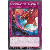 SDAZ-EN033 Screams of the Branded Common 1st Edition NM