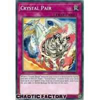 SDCB-EN035 Crystal Pair Common 1st Edition NM