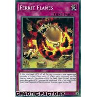 SDCB-EN039 Ferret Flames Common 1st Edition NM