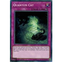 Yugioh SDCL-EN037 Quantum Cat Common 1st Edition