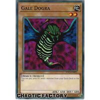 SDCS-EN021 Gale Dogra Common 1st Edition NM