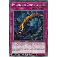 SDCS-EN039 Paleozoic Canadia Common 1st Edition NM