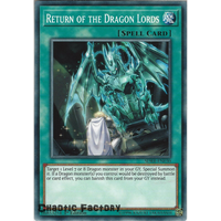 Yugioh SDRR-EN030 Return of the Dragon Lords Common 1st Edtion NM