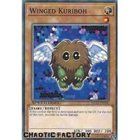 SGX1-ENA06 Winged Kuriboh Common 1st Edition NM
