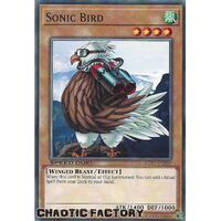 SGX1-ENE03 Sonic Bird Common 1st Edition NM