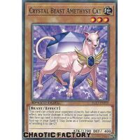 SGX1-ENF02 Crystal Beast Amethyst Cat Common 1st Edition NM