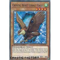 SGX1-ENF07 Crystal Beast Cobalt Eagle Common 1st Edition NM
