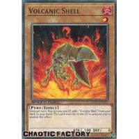 SGX1-ENH07 Volcanic Shell Common 1st Edition NM