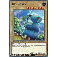 SGX1-ENI02 Big Koala Common 1st Edition NM