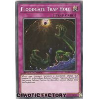 SGX1-ENI23 Floodgate Trap Hole Secret Rare 1st Edition NM