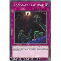 SGX1-ENI23 Floodgate Trap Hole Common 1st Edition NM