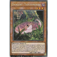 SOFU-EN085 Danger!? Tsuchinoko? Secret Rare 1st Edition NM