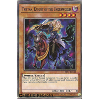 Yugioh SR07-EN011 Tristan, Knight of the Underworld Common 1st Edition NM