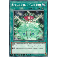 Yugioh SR08-EN029 Spellbook of Wisdom Common 1st Edition NM