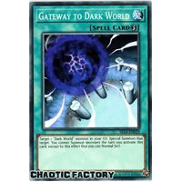 SR13-EN029 Gateway to Dark World Common 1st Edition NM