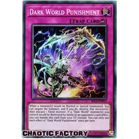 SR13-EN033 Dark World Punishment Super Rare 1st Edition NM