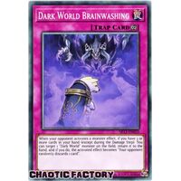 SR13-EN035 Dark World Brainwashing Common 1st Edition NM