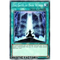 SR13-EN045 The Gates of Dark World Common 1st Edition NM