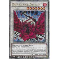 TN23-EN014 Black Rose Dragon Quarter Century Secret Rare 1st Edition NM