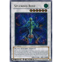 Ultimate Rare - Splendid Rose - TSHD-EN043 1st Edition NM
