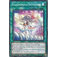VASM-EN038 Vaalmonica Intonare Super Rare 1st Edition NM