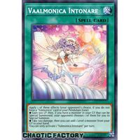 VASM-EN038 Vaalmonica Intonare Super Rare 1st Edition NM