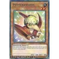 WISU-EN014 Petiteranodon Rare 1st Edition NM