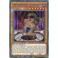 WISU-EN044 Impcantation Talismandra Rare 1st Edition NM