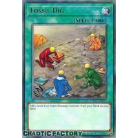 WISU-EN055 Fossil Dig Rare 1st Edition NM