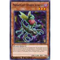 Predaplant Ophrys Scorpio - OP06-EN016 - Common NM