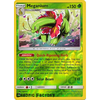 Meganium - 8/214 - Holo Rare Reverse Holo
