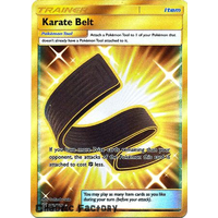 Karate Belt - 252/236 - Secret Rare