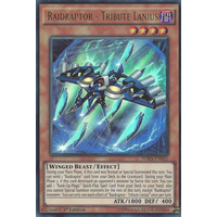 Raidraptor - Tribute Lanius Ultra rare 1st edition WIRA-EN021 NM