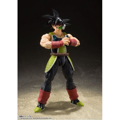 S.H.FIGUARTS Dragon Ball Z Bardock