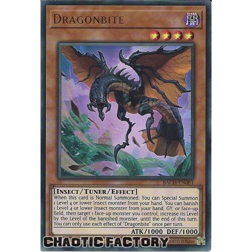 BACH-EN081 Dragonbite Ultra Rare 1st Edition NM